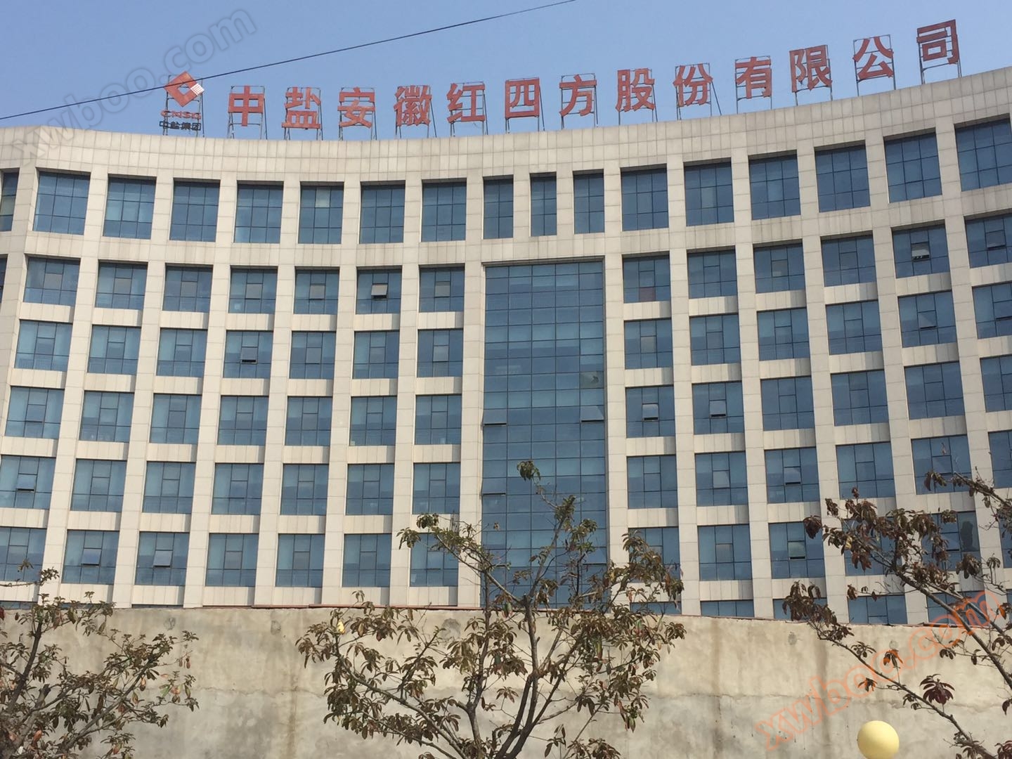 中盐安徽红四方股份有限公司