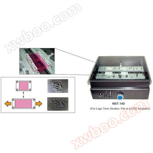 Cell Stretching Culture System