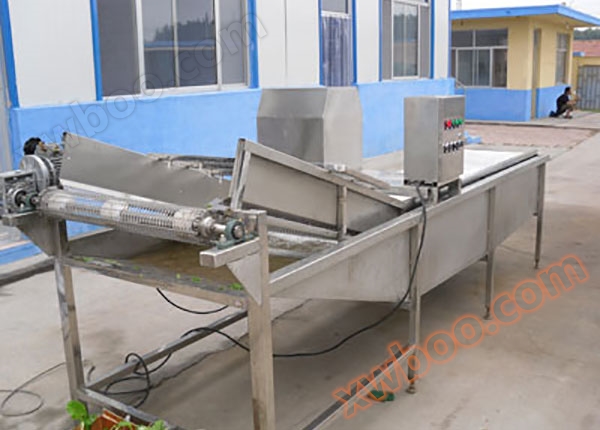 Fruit and vegetable cleaning equipment