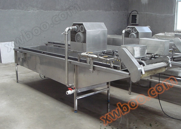 Apple cleaning machine