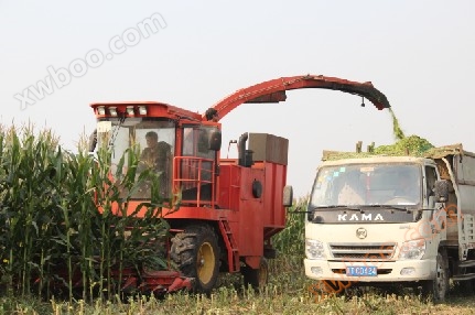 4QZ-3000 Green Feed Harvester