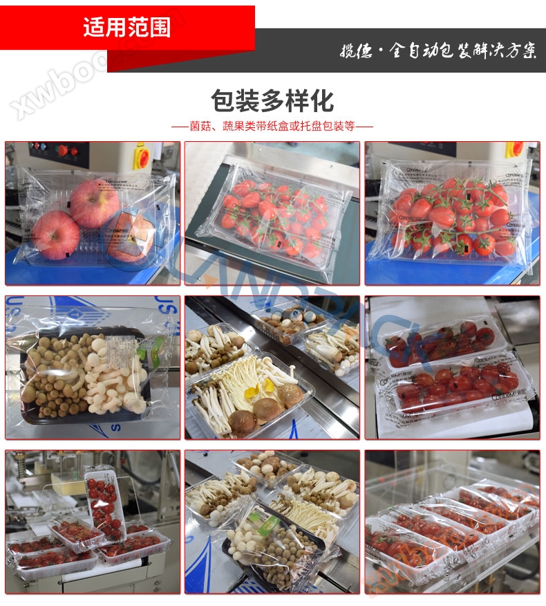 Máquina de embalagem com almofada de papel (LP-700X)