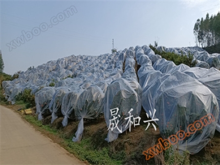 Fruit trees, plants, antifreeze insulation bags, plastic anti cold film